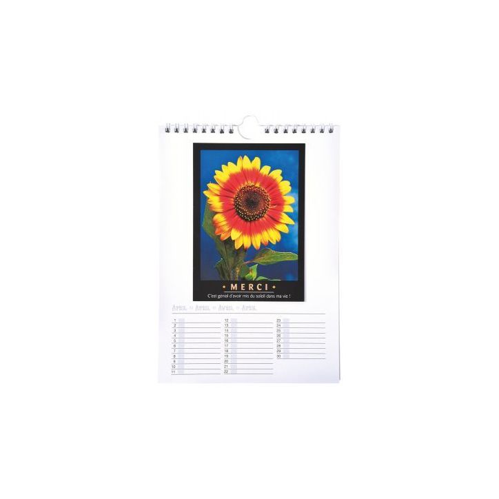 Calendrier à décorer format : 17x24 cm 2314