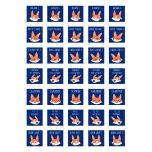 Achetez Pochette de 700 gommettes bon points appréciation AE161C MAILDOR CLAIREFONTAINE pas cher su..