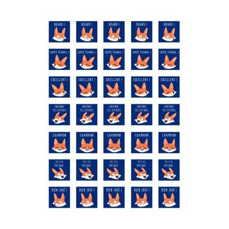 Achetez Pochette de 700 gommettes bon points appréciation AE161C MAILDOR CLAIREFONTAINE pas cher su..