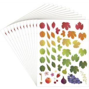 Achetez Pochette de 576 gommettes évolution des 4 saisons repositionnables L940017 pas cher sur Ma ..