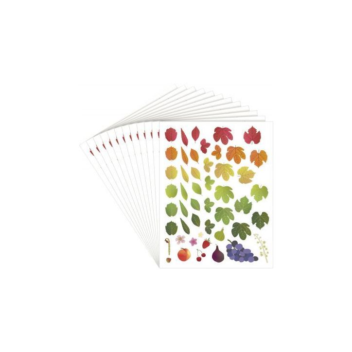 Pochette de 576 gommettes évolution des 4 saisons repositionnables L940017