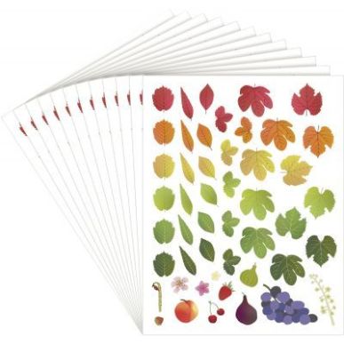 Achetez Pochette de 576 gommettes évolution des 4 saisons repositionnables L940017 pas cher sur Ma ..