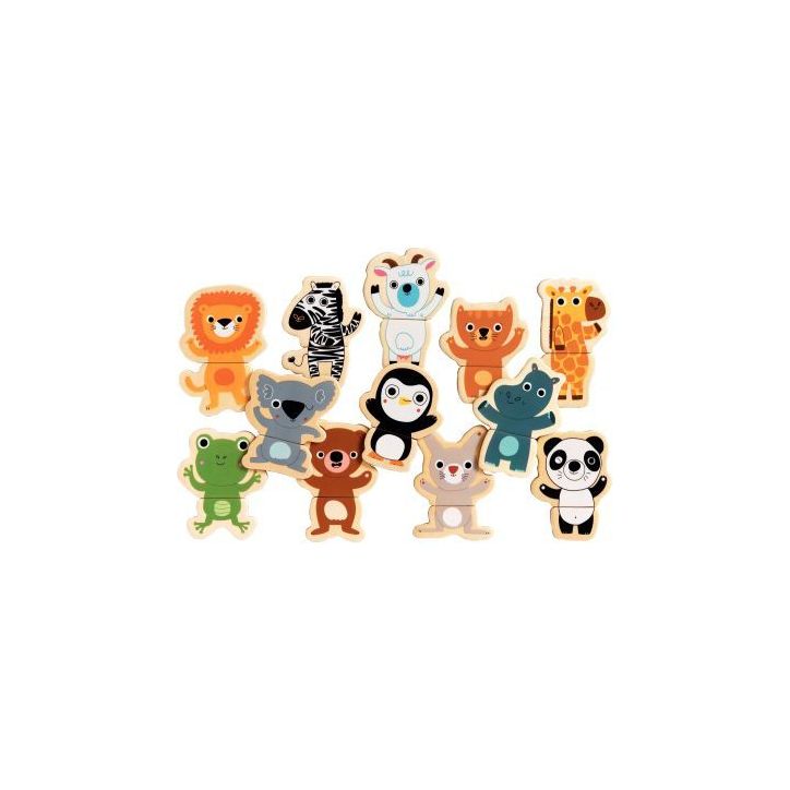 Lot de 12 puzzles magnétiques, les animaux du zoo DJ03118 DJECO