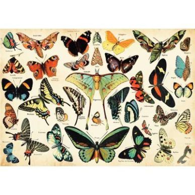 Achetez Puzzle en bois d'environ 100 pièces, les papillons K1227-100 PUZZLE MIC pas cher sur Ma Ren..