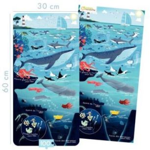 Puzzle 100 pièces le monde marin PU024C AVENUE MAN