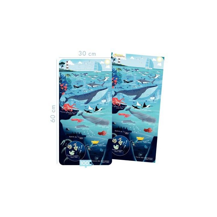 Puzzle 100 pièces le monde marin PU024C AVENUE MAN