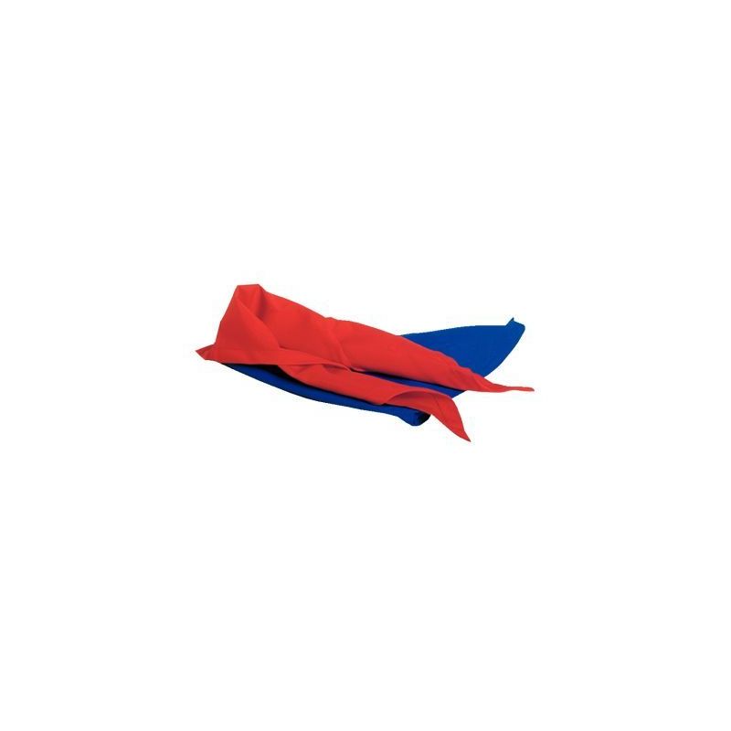 Achetez Lot de 6 Foulards de Jeu en Nylon - Bleu FOULMJ BLEU pas cher sur Ma Rentrée Scolaire Achetez Lot de 6 Foulards de Jeu en Nylon - Bleu FOULMJ BLEU pas cher sur Ma Rentrée Scolaire