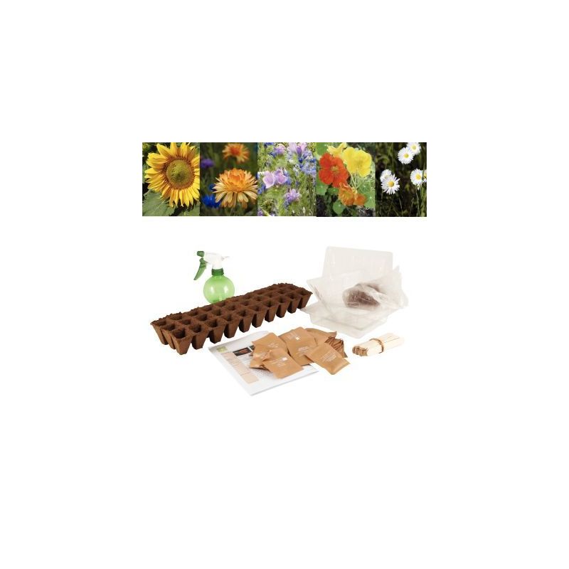 Achetez Carton de 30 sachets de graines de fleurs 026832 pas cher sur Ma Rentrée Scolaire
