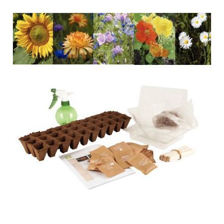 Achetez Carton de 30 sachets de graines de fleurs 026832 pas cher sur Ma Rentrée Scolaire