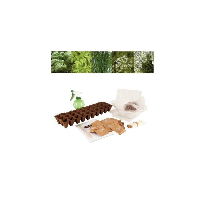 Achetez Carton de 30 sachets de graines aromates bio 026830 pas cher sur Ma Rentrée Scolaire Achetez Carton de 30 sachets de graines aromates bio 026830 pas cher sur Ma Rentrée Scolaire