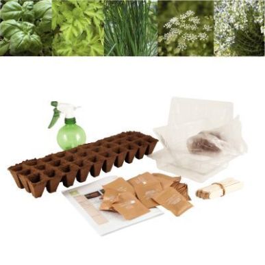 Achetez Carton de 30 sachets de graines aromates bio 026830 pas cher sur Ma Rentrée Scolaire