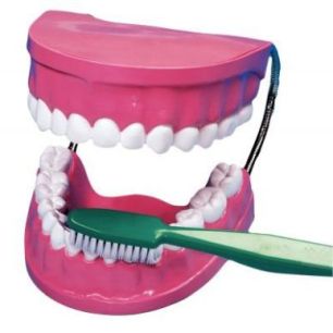 Achetez La bouche - les dents + brosse à dent géante 2038 pas cher sur Ma Rentrée Scolaire