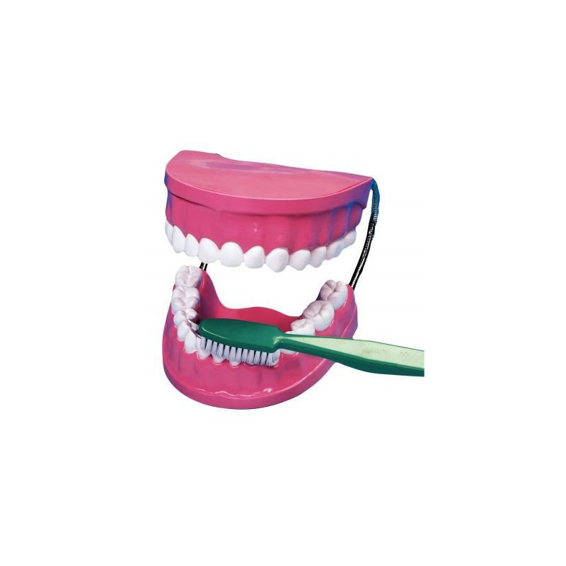 Achetez La bouche - les dents + brosse à  dent géante 2038 pas cher sur Ma Rentrée Scolaire