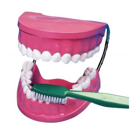 Achetez La bouche - les dents + brosse à dent géante 2038 pas cher sur Ma Rentrée Scolaire