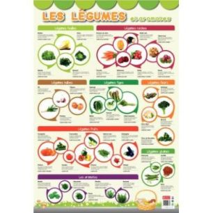 Achetez Poster Pédagogique en PVC 76x52cm - Thème Les Légumes PAPPOSTLEGUMES pas cher sur Ma Rent..