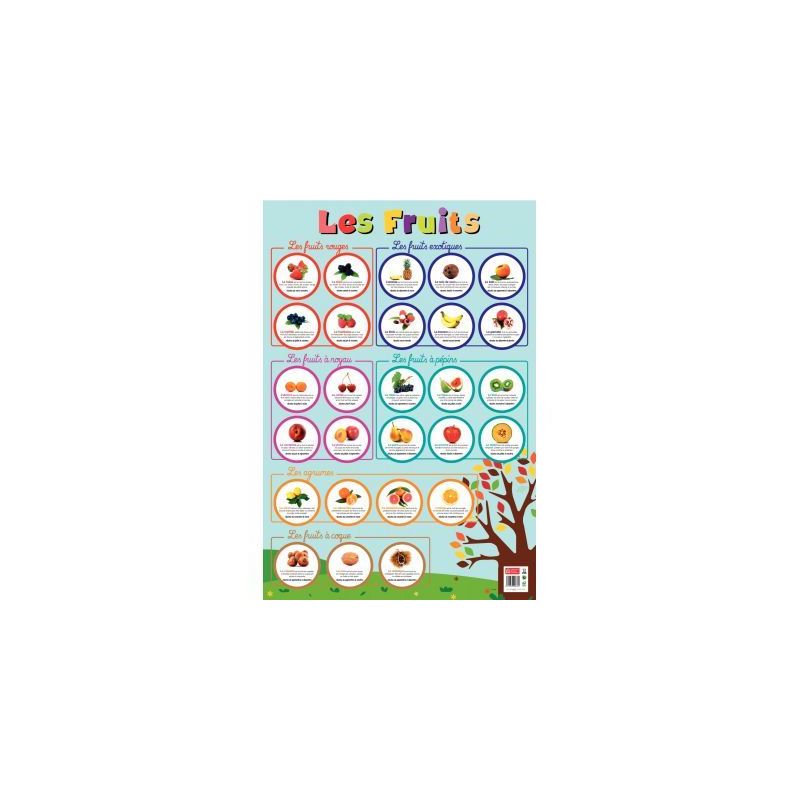 Achetez Poster Pédagogique en PVC 76x52cm - Thème Les Fruits PAPPOSTFRUITS pas cher sur Ma Rentré.. Achetez Poster Pédagogique en PVC 76x52cm - Thème Les Fruits PAPPOSTFRUITS pas cher sur Ma Rentré..