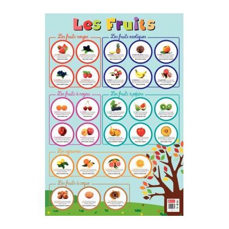Achetez Poster Pédagogique en PVC 76x52cm - Thème Les Fruits PAPPOSTFRUITS pas cher sur Ma Rentré..