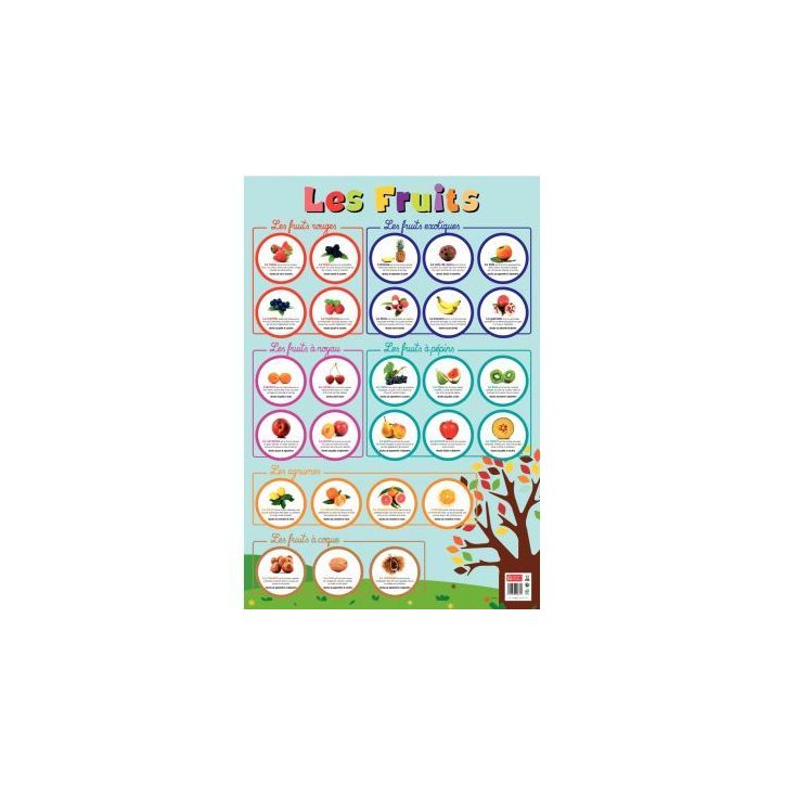 Poster Pédagogique en PVC 76x52cm - Thème Les Fruits PAPPOSTFRUITS
