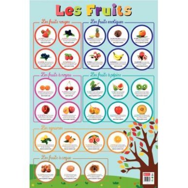 Achetez Poster Pédagogique en PVC 76x52cm - Thème Les Fruits PAPPOSTFRUITS pas cher sur Ma Rentré..