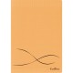 CONQUERANT C9 Cahier piqûre 17x22cm 48 pages 90g grands carreaux Séyès. Couverture polypropylène Orange